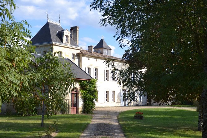 Authentic Château Chatain Wine Tasting & Vines Leaves Hunting - Event Overview