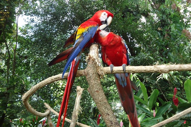 Auto Safari Chapin Drive-Through Nature Park & Zoo From Puerto Quetzal - Tour Inclusions