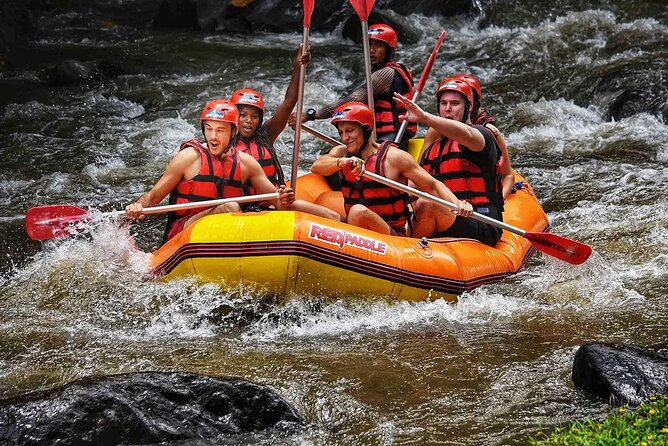 Ayung River Rafting in Ubud Including Buffet Lunch - Inclusions