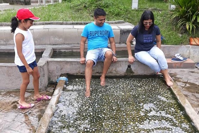 Back to Nature Tour - Templers Park, Hot Spring & Batu Caves