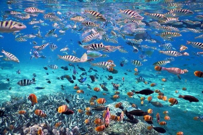 Bali Best Destination – Special Packed Trip to Nusa Penida