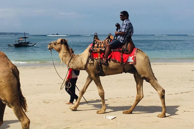 BALI HOLIDAY TRANS#Bali Camel Adventure#