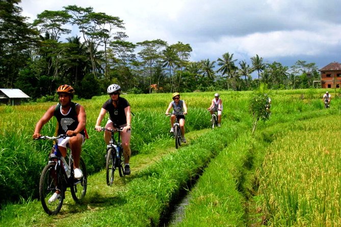 Bali Kintamani Cycling Tour With Transport Service