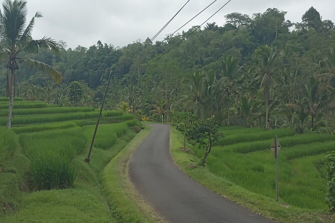 Bali One Day Tour Rice Terrace Jatiluwih Waterfall, Temple - Start Time and Additional Info
