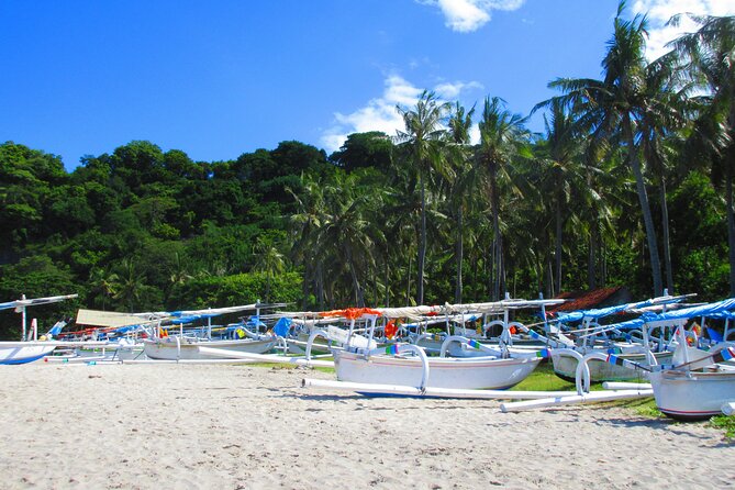 Bali Padangbai Blue Lagoon Snorkeling Private Day Trip All Inclusive - Logistics Details
