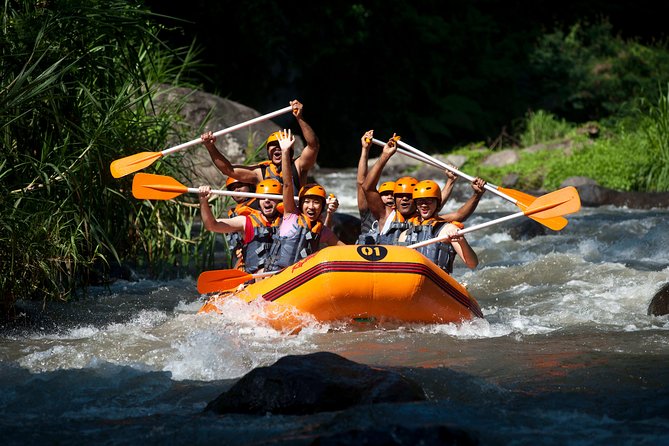 Bali Rafting Adventure With Lunch - Inclusions