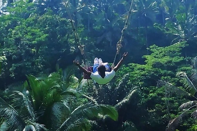 Bali Swing and Ubud Tours - Inclusions and Exclusions