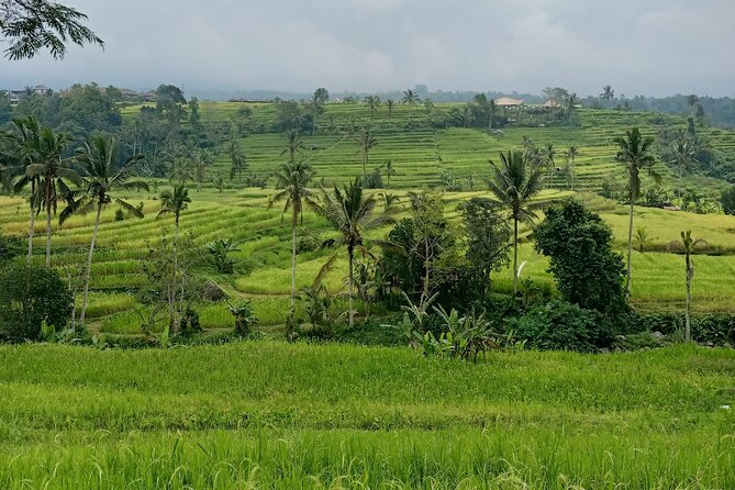 Bali Tanah Lot, Ulun Danu Beratan & Jatiluwih Rice Terrace - Meeting and Pickup Information