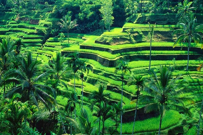 Bali Temples and Rice Terraces Tour