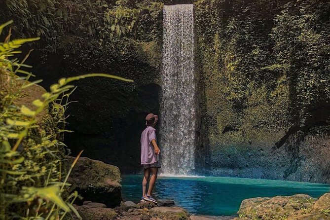 Bali: Ubud Highlight Private Tour – All Inclusive