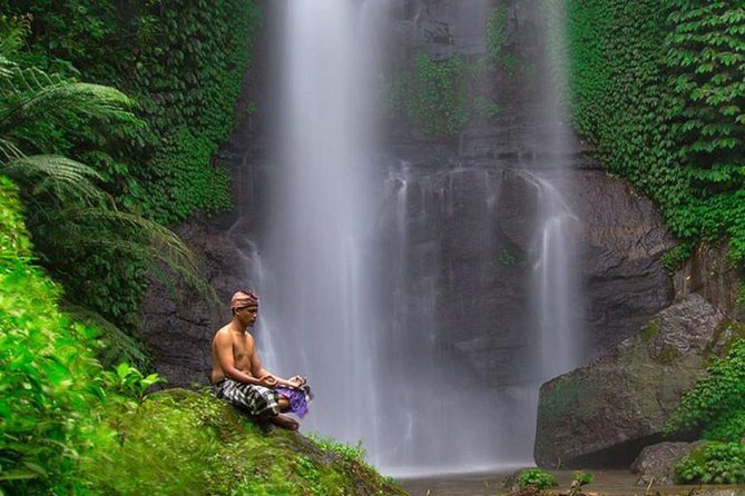 Bali VW Jeep Tour: Rice Terrace, Waterfall, Garden View