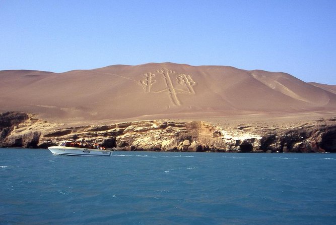 Ballestas Islands Tour - Overview of the Tour