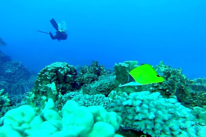 Baptism Diving in Easter Island