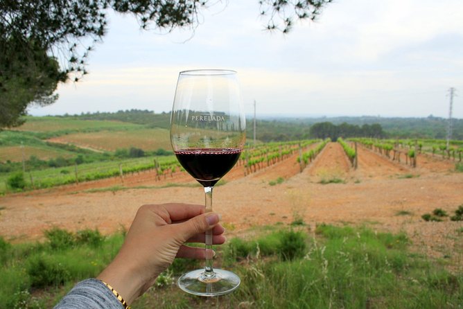 Barcelona Countryside Fullday Wine and Cava Tastings With Lunch - Tour Highlights