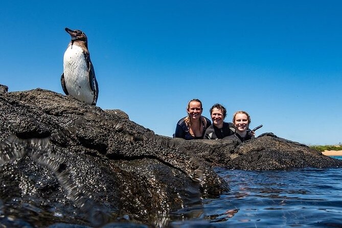 Bartolome Island on Board of Sea Lion Yacht