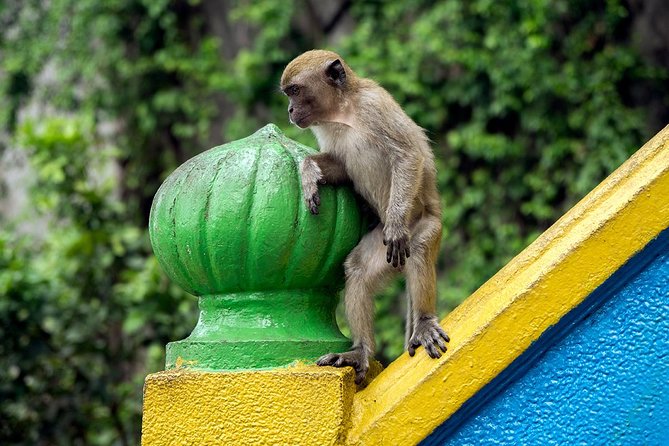 Batu Caves and Watching Fireflies in Kuala Selangor - Tour Highlights