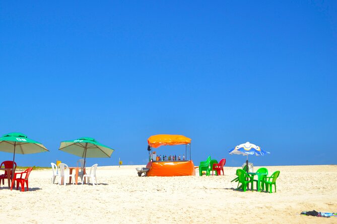 Beach Day Tour to Praia Do Forte, Get to Know the Coconut Coast - Overview of Praia Do Forte