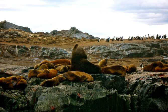 Beagle Channel Navigation On Yacht - Refreshments and Gratuity