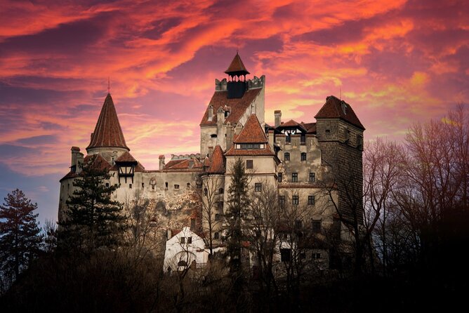Bear Sanctuary and Bran (Draculas) Castle – Private Day Tour