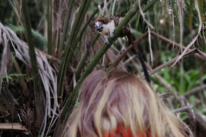 Beautiful Panama Canal Lake Nature Sightseeing - Lush Rainforest Surroundings