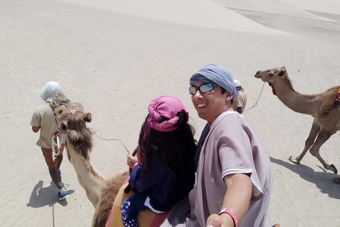 Bedouin Adventure: Dromedaries in the Desert