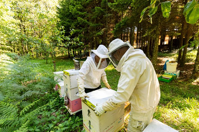 Beekeeper Experience in the Mountain of Holomontas - Participant Guidelines and Restrictions