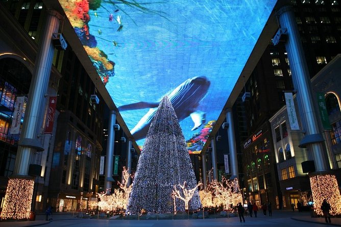 Beijing Night Driving Self-Guide Tour Assist by English Speaking Driver - Inclusions and Meeting/Pickup Information