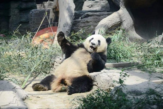 Beijing Private Package Tour With Tianjin Cruise Port Transfer