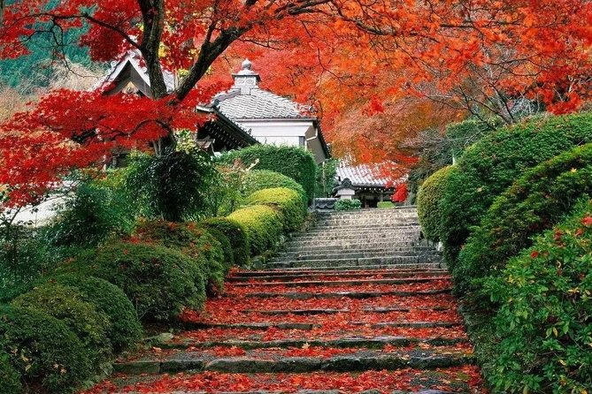 Beijing Private Tour to Summer Palace and Fragrant Hill With Cable Car Ride - Detailed Itinerary for the Day