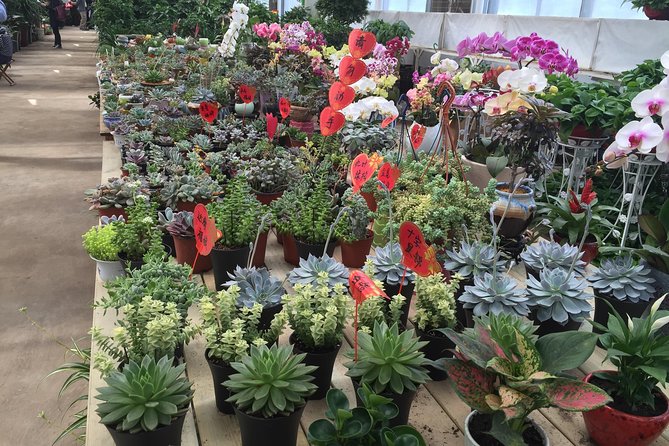 Beijing World Park and Flower Market Visiting With Private Driver Service - Tour Highlights