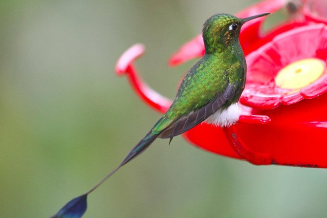 Bellavista Cloud Forest Reserve / 3 Day Tour - Tour Itinerary Overview
