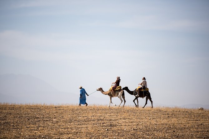 Berber Life Experience In The Atlas Mountains Day Tour From Marrakech - Tour Overview
