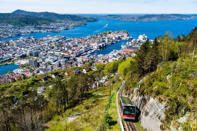 Bergen by Car Private Tour With Local Food Tasting - Tour Details