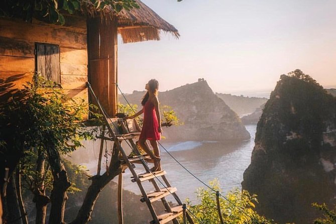 Best 2 Days Famous Bali NUSA PENIDA TOUR - Inclusions