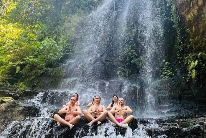 Best Of Bali Waterfall and Temple Tour - Inclusions
