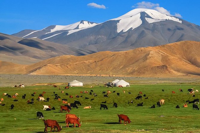 Best of Mongolian Tour 7 Days - Tour Details