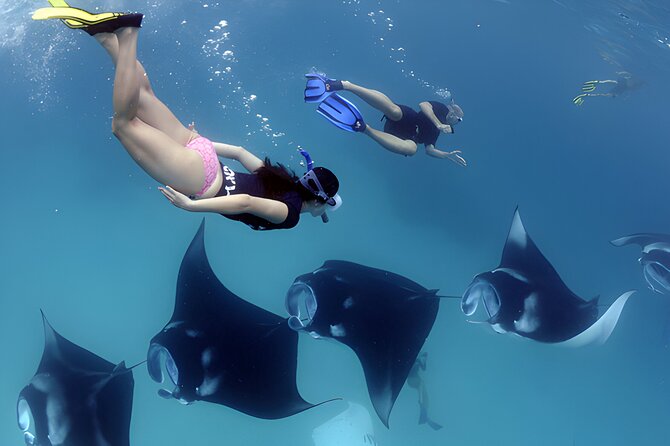 Best of Nusa Penida Snorkeling: Manta Bay, Wall Point & Gamat Bay - Cancellation Policy