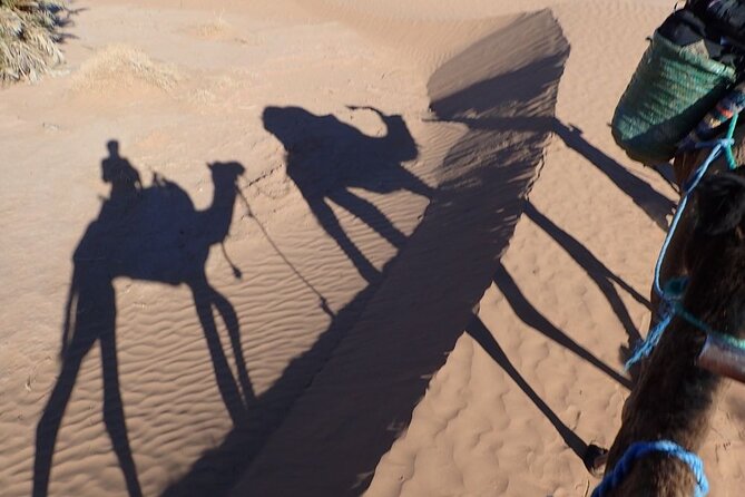 Best Tour in Morocco 9days From Casablanca - Accommodations and Meals