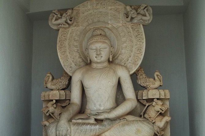 Bhubaneshwar, Bhitarkanika & Similipal Tiger Reserve Tour - Accommodation Details