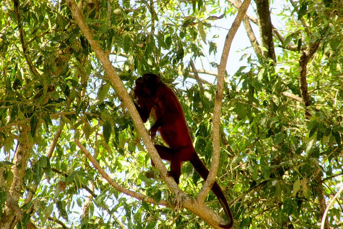 Bigi Pan Tourist Eco Lodge