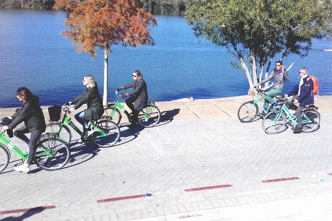 Bike Tour Through the Parks of Seville