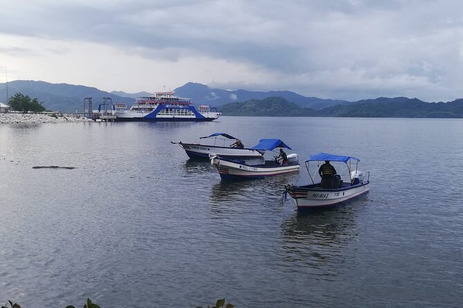 Bioluminescence Experience in Paquera With Dinner Included