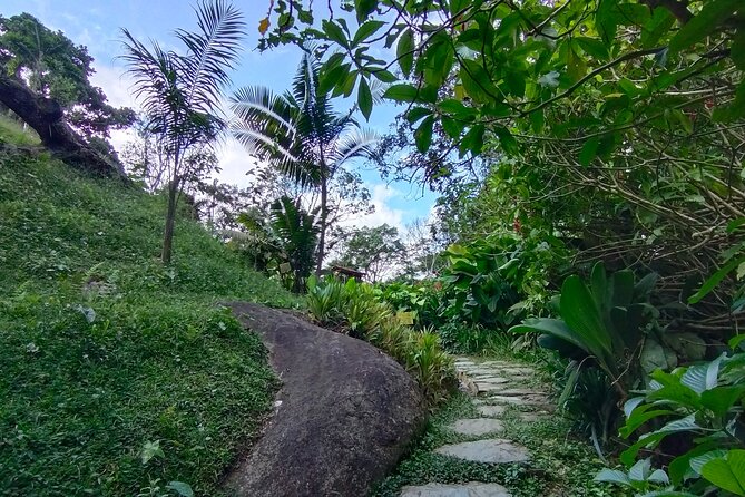 Bird-Watching and Nature Reserve Experience in Ibague - Ibague: A Bird-Watchers Paradise