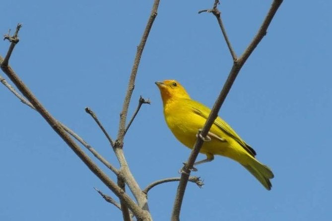 Bird Watching in Cartagena Full Day
