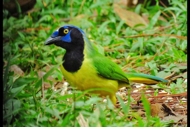 Bird Watching Tour - Meeting and End Location