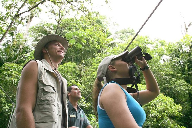Birding Watching Tour From San José