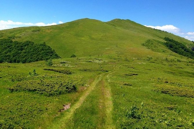 Bjelasica – Troglava – Zekova Glava - Hiking Tour - Hiking Route Details