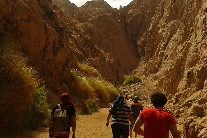 Blue Hole, Canyon Dahab and Quad Biking in Dahab From Sharm El Sheikh - Transportation Details
