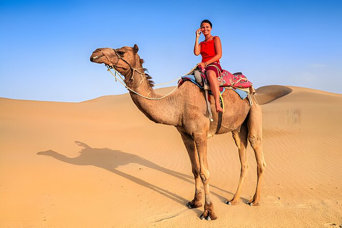 Blue Hole, Canyon With Camel Ride and Lunch From Sharm El Sheikh - Tour Overview