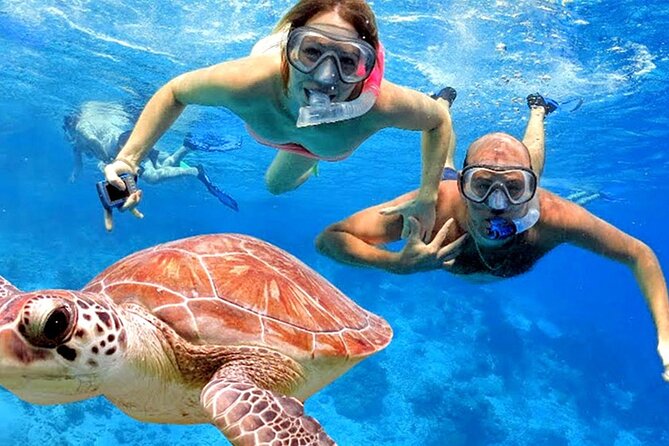 Blue Lagoon Snorkeling With Lunch and Private Transport